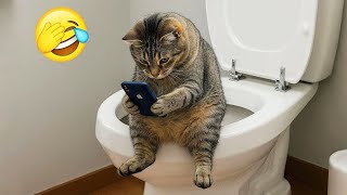 You Laugh You Lose 😍 1 Hour of Funniest Cats and Dogs Videos 2026 😺🐶