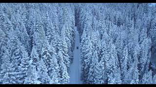 No copyright videos download free to use everywhere