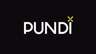 What Is PUNDIX? | $PUNDIX Crypto Easy Explained