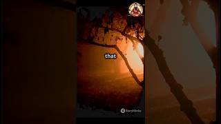 Mystery of the Aleya Ghost Lights: Real or Supernatural?