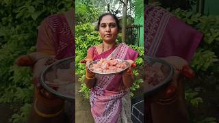 vilage style desi chicken curry recipe #cookingvedio #delicious #shortvideo #chikencurry