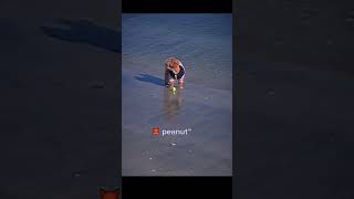 Yeonjun and his love for peanut #bts #kpop #txt2 #txt #recommended #yeonjun #yeonjuntxt #viralshort