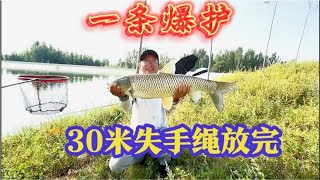 小水庫藏大物，12 4斤大草魚上岸，過程扣人心弦！#釣魚 #釣魚技巧 #釣魚教學
