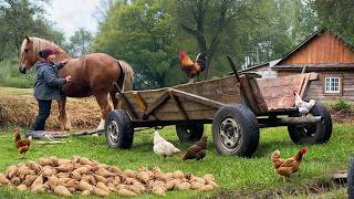 Rustic Ukrainian Village Life – Daily Harvest & Fire Cooking