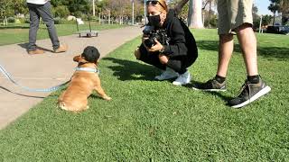 Behind the Scenes at VideoTelepathy