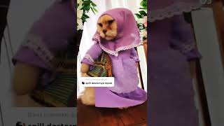 Mpok jeru #cat #kucing #cat #kucingimut #kucinglucu #catlover #cats