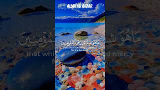 RELAXING RECITATION OF HOLY QURAN #lofiquran #quranrecitation #quranforanxiety