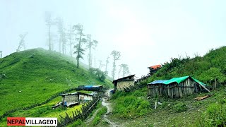 Best mountion Village Lifestyal II very peaceful and Relaxing village in Nepal I Nepal village