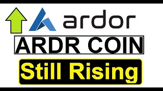 Ardr coin - still rising