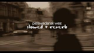 𝘱𝘦𝘳𝘢𝘸𝘢𝘥𝘢𝘯𝘢𝘬 𝘸𝘦𝘦 (𝘴𝘭𝘰𝘸𝘦𝘥 + 𝘳𝘦𝘷𝘦𝘳𝘣)