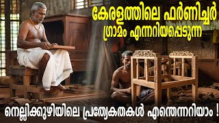 കേരളത്തിലെ ഫർണിച്ചർഗ്രാമം എന്നറിയപ്പെടുന്ന നെല്ലിക്കുഴിയിലെ പ്രത്യേകതകൾ! | Furniture | Nellikkuzhi |