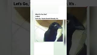 Whats the name ??? #funny