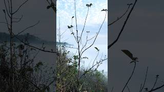 মেঘময় পাহাড়ের সকাল