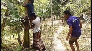 Must Watch New Comedy & Funny 😎😎 Video 2018 Part 1|| sk team