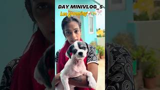Day mini vlog_5#madhandivya #doggrooming#haircut #trendinghair #sadfeel #trendingshorts #viralvideo