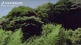 The beautiful countryside of Japan. Silhouette.