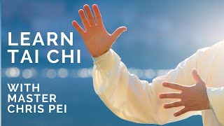 初心者のための太極拳 太極拳を学ぶための最高の教育ビデオ