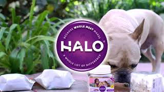 Halo Dog Food Product Demo Video