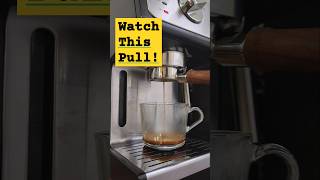 DeLonghi ECP pull —how's the shot? ☕ #espresso #delonghi #fellowopus