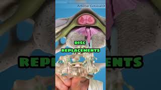 𝟮𝟬𝟮𝟯：私はここで素晴らしいアニメを見ています！