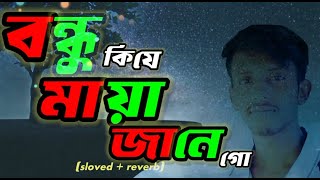 বন্ধু মায়া জানে | Bondhu Maya Jane | Slowed & Reverb। Lo-Fi