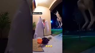 #youtubeshorts #youtubesearch #shorts #topfans #everyone #fyp #viralfeeds #viral #funny  @topfans