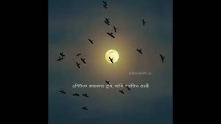 মায়াবী | black screen lyrics|Mayabi | Whatsapp status Video | @Allinone #bengali #music #song #edit