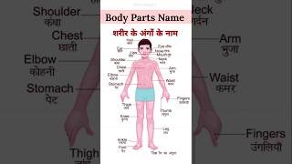Spoken Hindi Class | Body parts name in Hindi and English #education #grammar #hindi #gk #gkinhindi