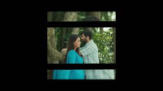 Pakhi  #kazishuvo  #banglalovesong #folksong #banglasadsong2025 #paritoshbarai #love #newsong #music
