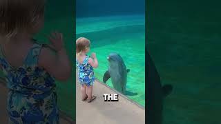 Emotional Dolphin Goodbye 🐬 & Reunion Story #shorts