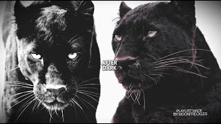 badass/dark edit audios + timestamps