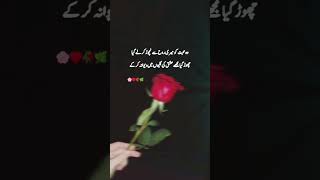 Wow ye poetry ♥️🥀 #shayri #urdu #love #poetry #urdupoetry
