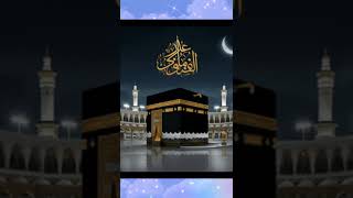 #lov #duet #hijab #islamicstatus #viwes10milionplace #loveallah #answer #8millionviews #song