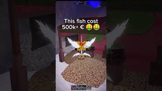Most expensive fish in Fisch |Roblox Fisch