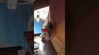 cctv footage #cctvinstallation #cctv #cctvsurveillance #tips_and_tricks #besttechnology #viral