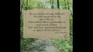 Sunday Reflection