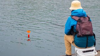 ウキが沈む瞬間と大物の引きがクセになる釣り。