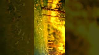 #nocopyrightmusicvlog #djviral @kato @kato short