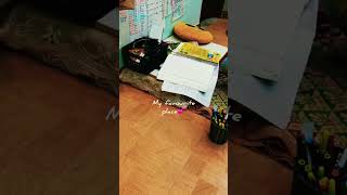 Mini study vlog | Reet mains preparation |Reet2023 #reet #reet2023 #viral #shortvideos