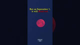 September 7, 2025: The Blood Moon Total Lunar Eclipse!🌕🔴
