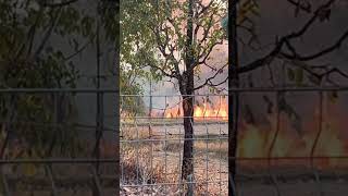 Another fire behind the house!!!! (It wasn’t on accident) #thailand #farming #garden