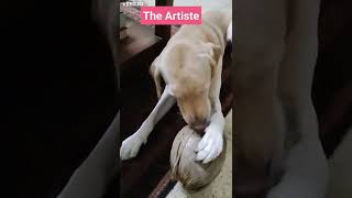 Labrador created art. Dog crime