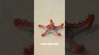 "The Starfish Story" Even Small Acts Can Change the World | Breathe #inspiration  #starfishstory