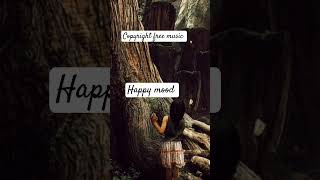 #nocopyrightmusic #backgroundmusicwithoutlimitations #copyrightfreemusic #backgroundmusic #emotional
