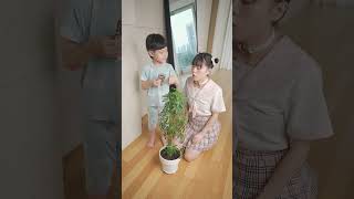Smart Sigma Kid #funny #sigma