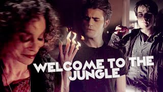 TVD/TO | Welcome To The Jungle