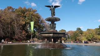 A Day With Me l Central Park NYC #newyorkcity #centralparknyc