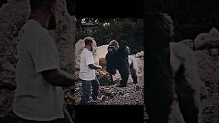Man x Gorilla