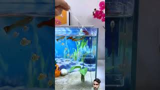 #aquarium #fishtank #fish #terrarium #koi #aquascapegallery #fishtankdesign #aquascapelowtech