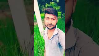 ladki bahut Anjani Hai #shortvideos #viralreels #trending #viralvideo 🙏❤️🔥🥰 please support me 🙏❤️